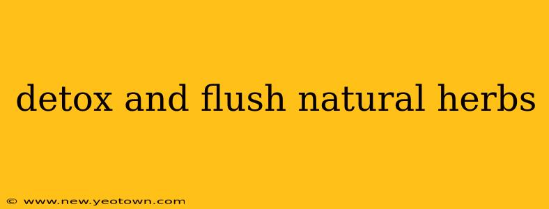 detox and flush natural herbs