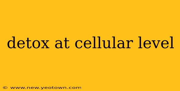 detox at cellular level