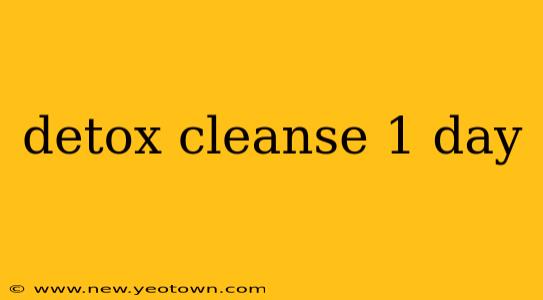 detox cleanse 1 day