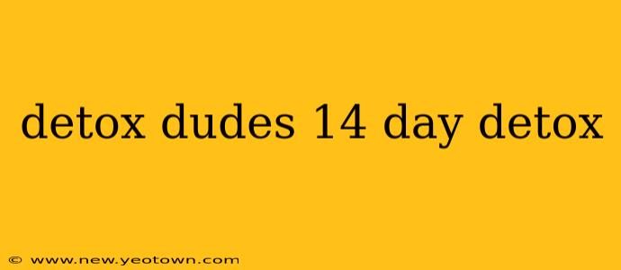 detox dudes 14 day detox