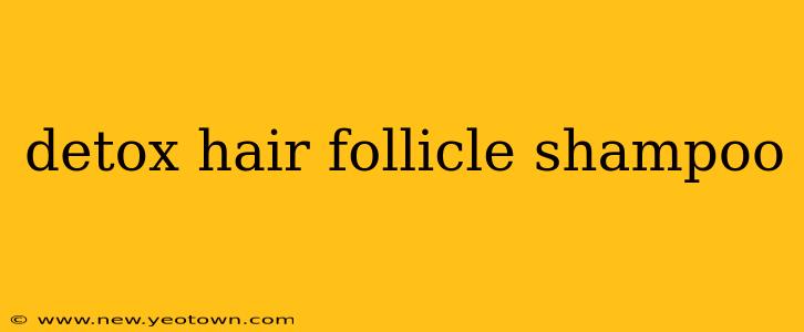 detox hair follicle shampoo
