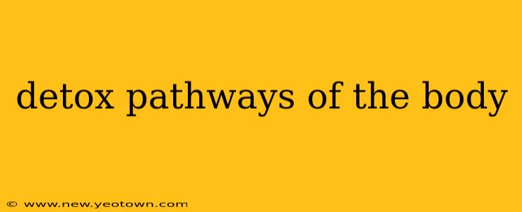 detox pathways of the body