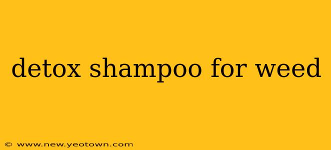 detox shampoo for weed