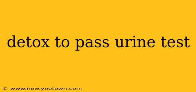 detox to pass urine test