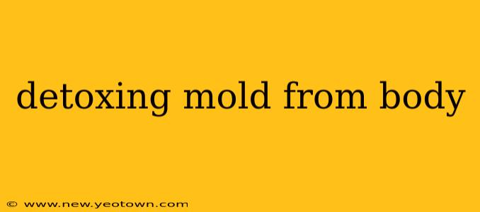 detoxing mold from body