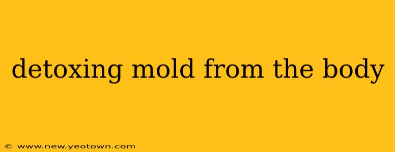 detoxing mold from the body
