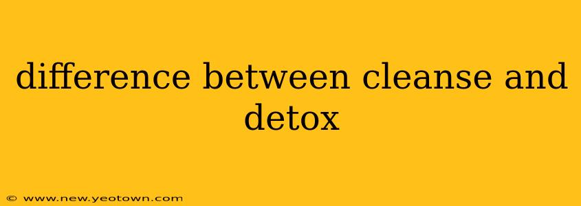 difference between cleanse and detox