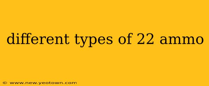 different types of 22 ammo