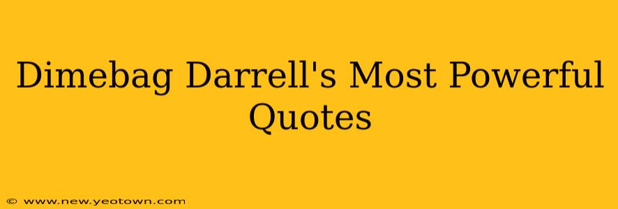 Dimebag Darrell's Most Powerful Quotes