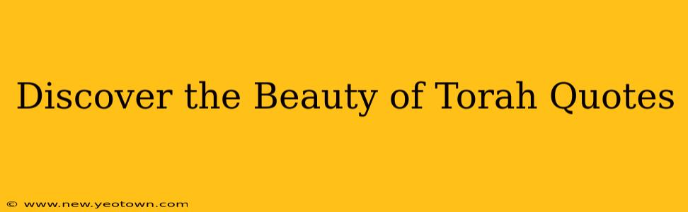Discover the Beauty of Torah Quotes