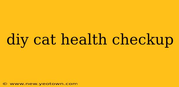 diy cat health checkup