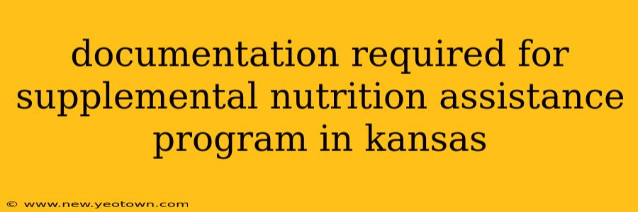 documentation required for supplemental nutrition assistance program in kansas