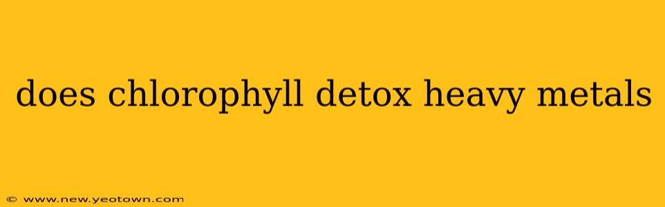 does chlorophyll detox heavy metals