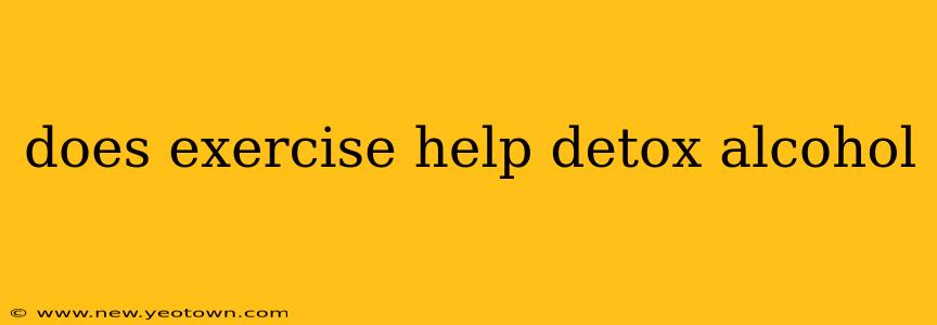 does exercise help detox alcohol