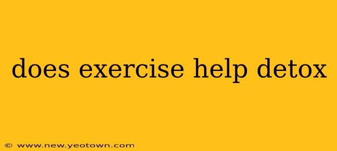 does exercise help detox