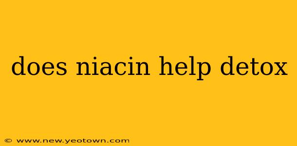 does niacin help detox
