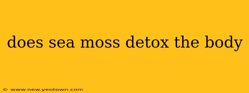 does sea moss detox the body
