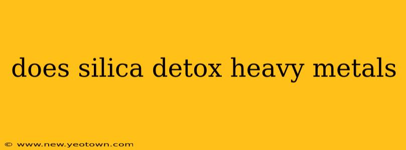 does silica detox heavy metals