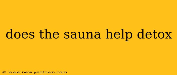 does the sauna help detox