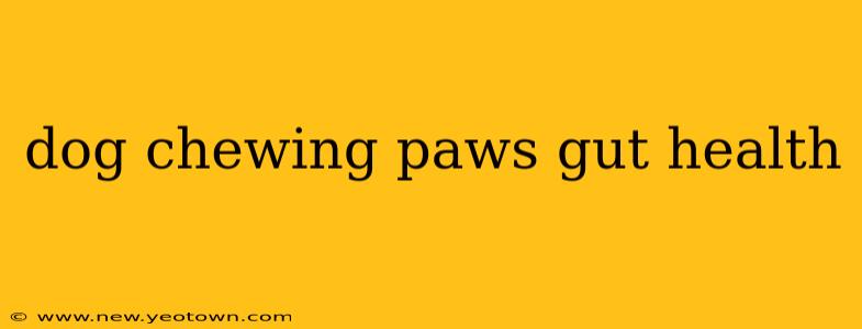 dog chewing paws gut health