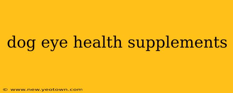 dog eye health supplements