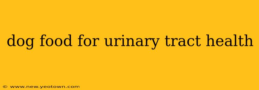 dog food for urinary tract health