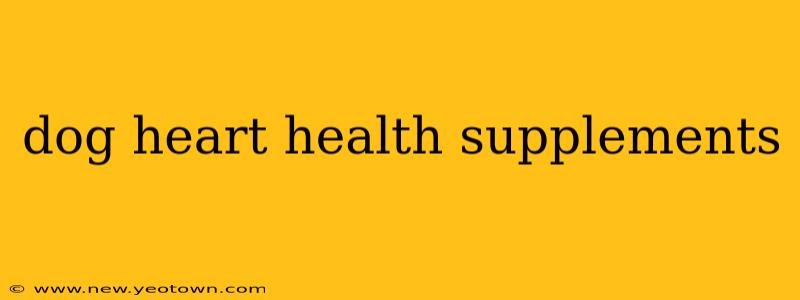 dog heart health supplements