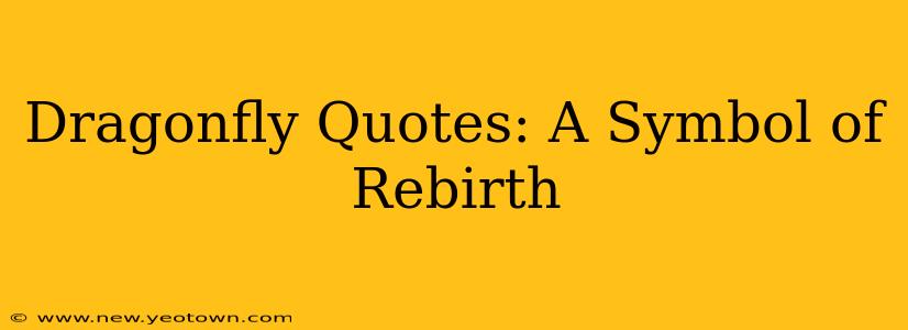 Dragonfly Quotes: A Symbol of Rebirth