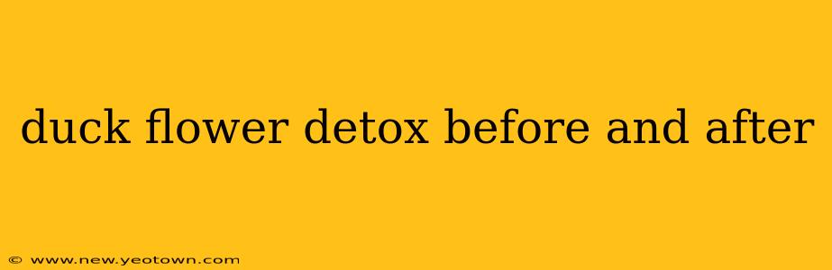 duck flower detox before and after