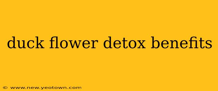 duck flower detox benefits