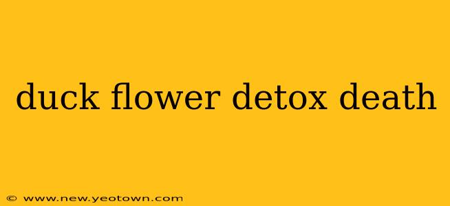 duck flower detox death