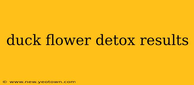 duck flower detox results
