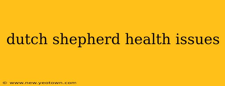 dutch shepherd health issues