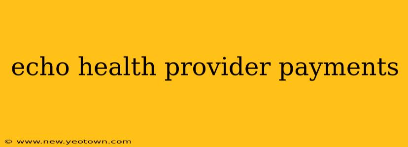 echo health provider payments