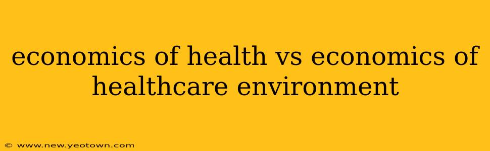 economics of health vs economics of healthcare environment