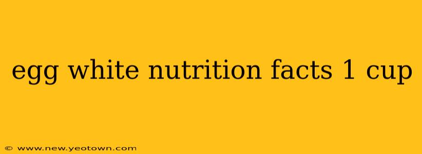 egg white nutrition facts 1 cup