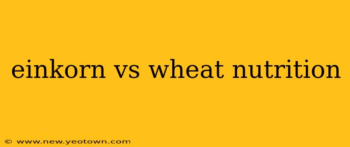 einkorn vs wheat nutrition