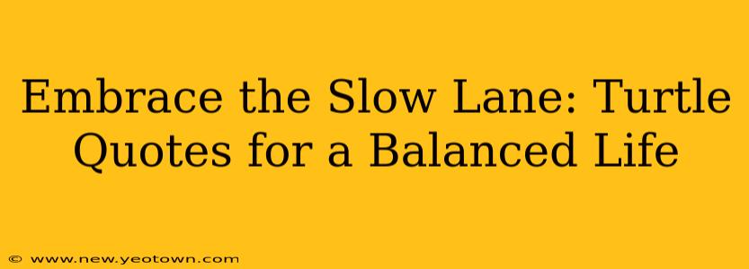 Embrace the Slow Lane: Turtle Quotes for a Balanced Life