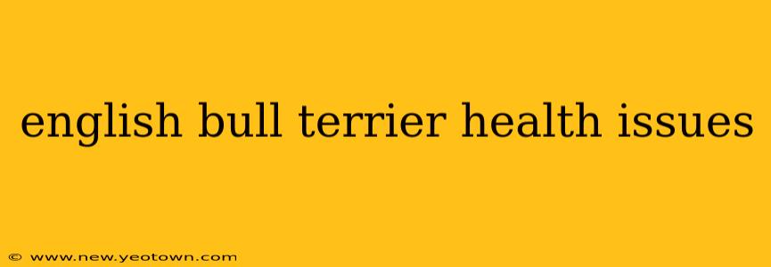 english bull terrier health issues