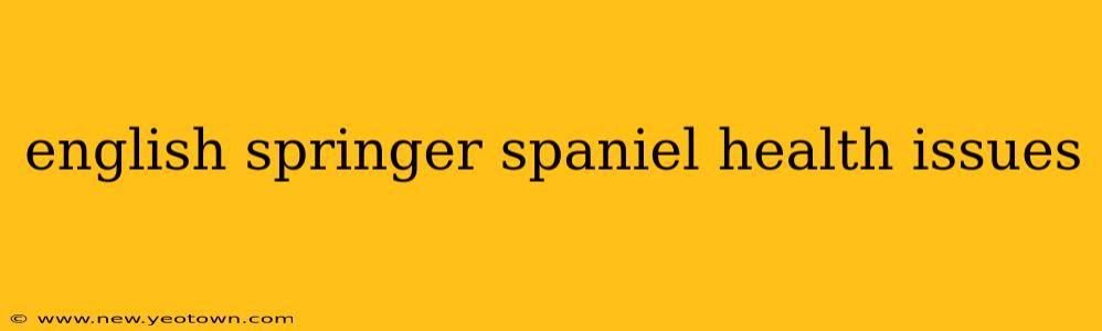 english springer spaniel health issues