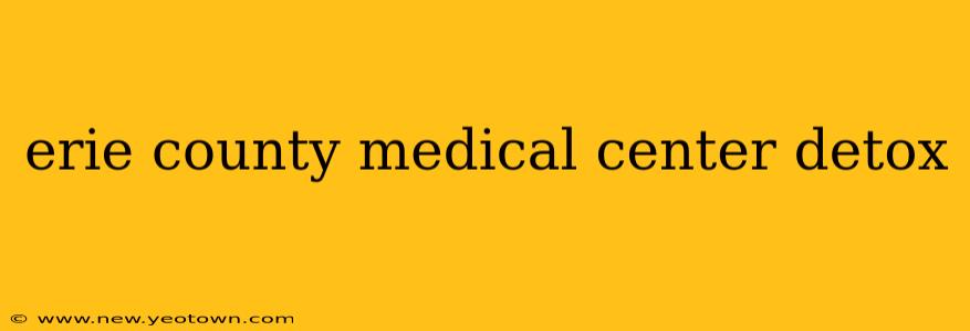 erie county medical center detox
