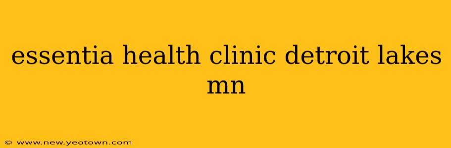 essentia health clinic detroit lakes mn