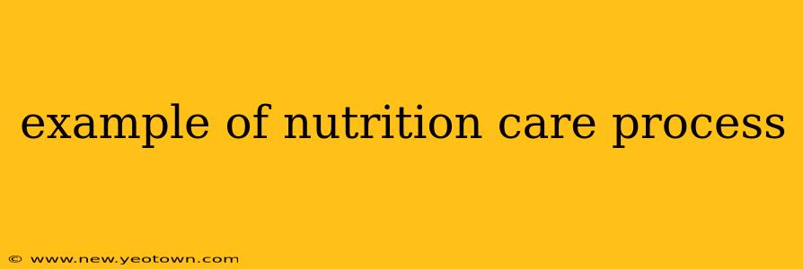 example of nutrition care process