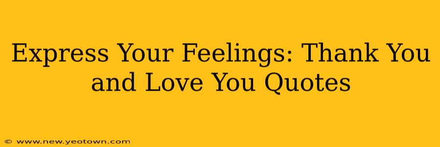 Express Your Feelings: Thank You and Love You Quotes