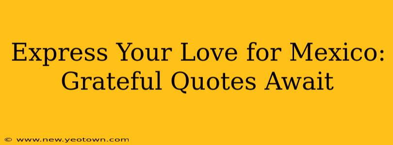 Express Your Love for Mexico: Grateful Quotes Await