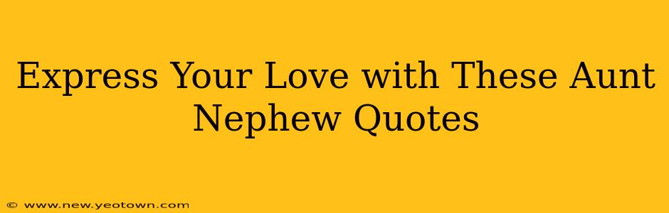 Express Your Love with These Aunt Nephew Quotes