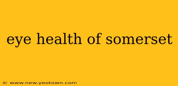 eye health of somerset