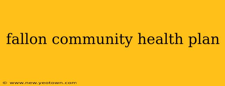 fallon community health plan