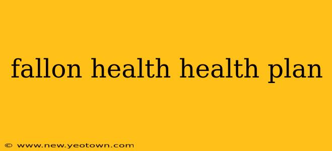 fallon health health plan