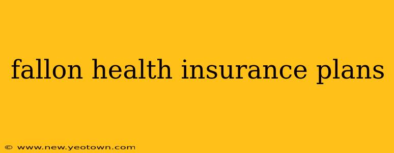 fallon health insurance plans